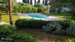 Luxurious 6 bedroom villa In A Great Location